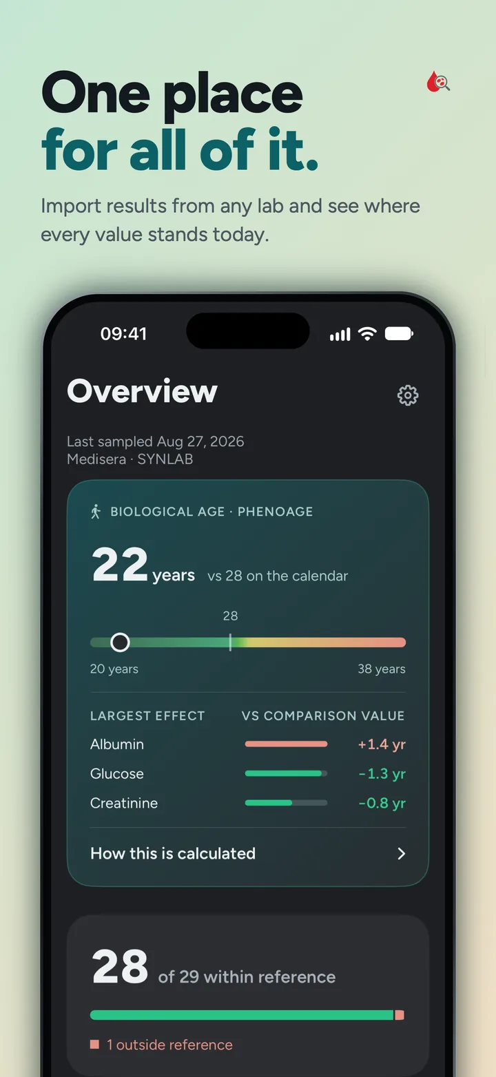 One place for all of it: every lab result in one timeline.